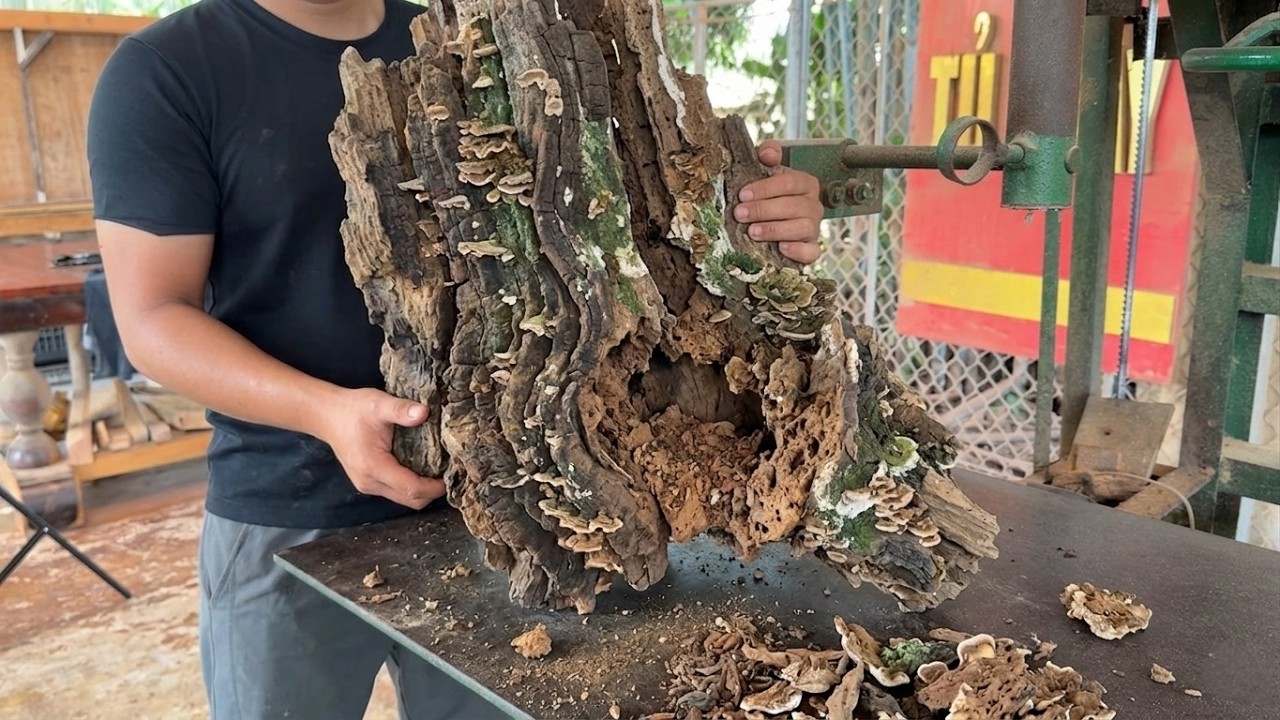 Weathered Wood — Unique Natural Beauty Crafted by a Talented