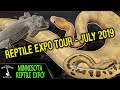 MINNESOTA REPTILE EXPO!