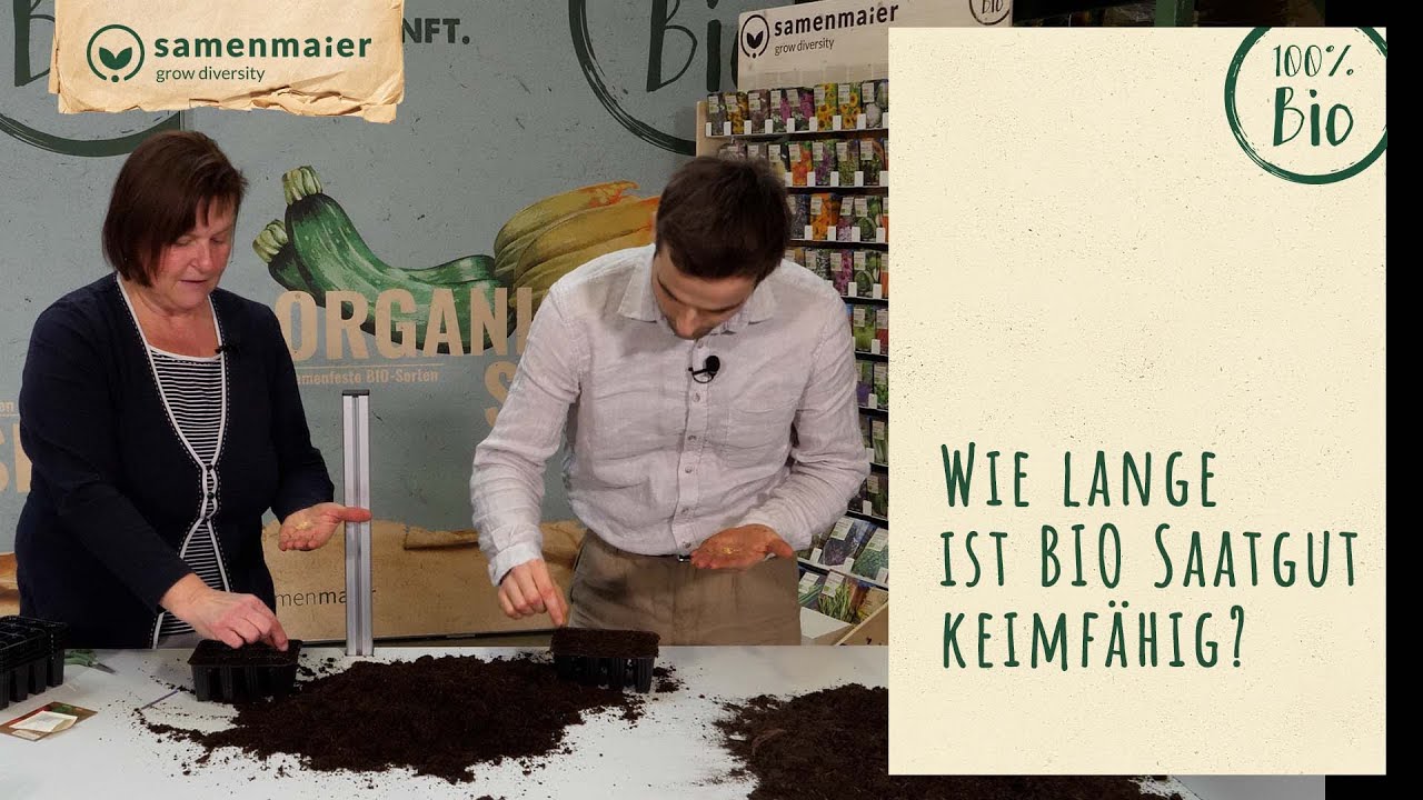 Wie lange ist BIO Saatgut keimfhig? Auf was muss ich achten?  | Samen  Maier