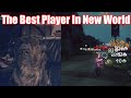 The best player in new world is a dog that 1vx