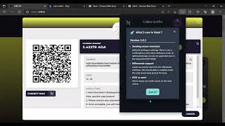 CONNECT YOUR NAMI WALLET TO CNFT.io