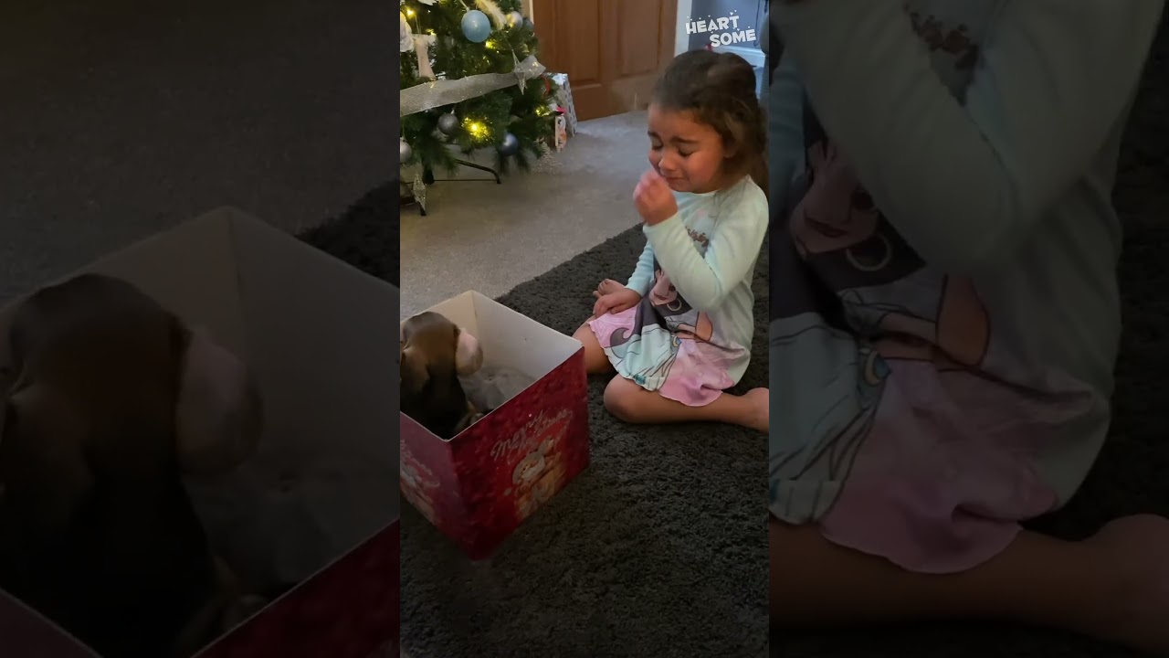 Little Girl's Overjoyed Reaction to Puppy Surprise!