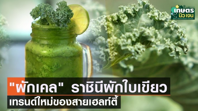 เคล” ซูเปอร์ฟู้ดสุดยอดผัก กินน้อยแต่ได้วิตามินมาก | เกษตรนิวเจน - YouTube