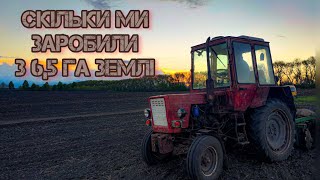 Скільки ми заробили з 6,5га землі за один рік?