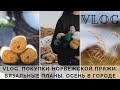 VLOG 13 || ПОКУПКИ НОРВЕЖСКОЙ ПРЯЖИ | DALE GARN | SANDNES GARN | DROPS |ВЯЗАЛЬНЫЕ ПЛАНЫ | ОСЕНЬ