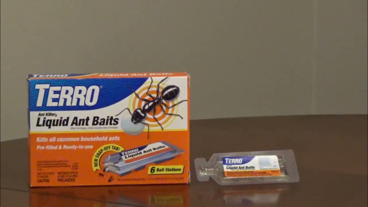 How to Use Liquid Ant Bait YouTube