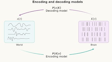 Decoding the Brain: Unlocking the Secrets of the Neural Code