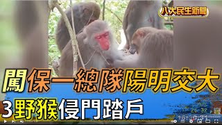 3野猴侵門踏戶 闖保一總隊陽明交大 |【民生八方事】| 2022062906 @gtvnews27