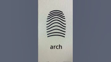 Fingerprint Analysis | Learn With Us | University of Kent