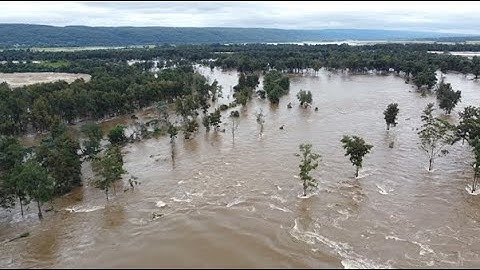 Drone over Nepean River Flood - Penrith March 2022