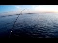 Рыбалка на Ладоге  часть 4  Окунь на спиннинг.