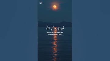 «قف لحظة… دع قلبك يسمع القرآن 🌿»#قرآن #اكسبلور #المصحف #تلاوة #راحة_نفسية #لايك #عبدالرحمن_مسعد