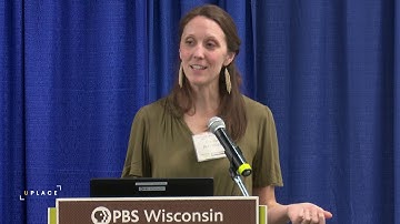 Preventing Bird-Window Collisions at Your Home | University Place