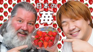 アメリカ人と日本のイチゴを食べ比べてみた！「さぬきひめ」「さちのか」「あまおう」
