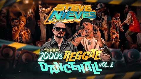 Best of 2000s Reggae Dancehall Vol. 2 | Sean Paul, Vybz Kartel, Elephant Man | DJ Steve Nieves Mix