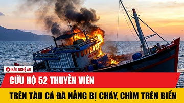 Cứu hộ 52 thuyền viên trên tàu cá Đà Nẵng bị cháy, chìm trên biển