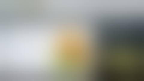 Evergreen Business System | The Most Powerful Automated Webinar Software Online