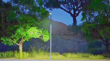ارح سمعك😴🎧القارئ صالح الانصاري || سورة النبأ Reader Saleh Al-Ansari || Surah Al-Naba