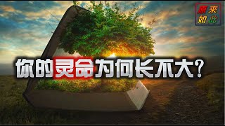 你的灵命为何长不大？