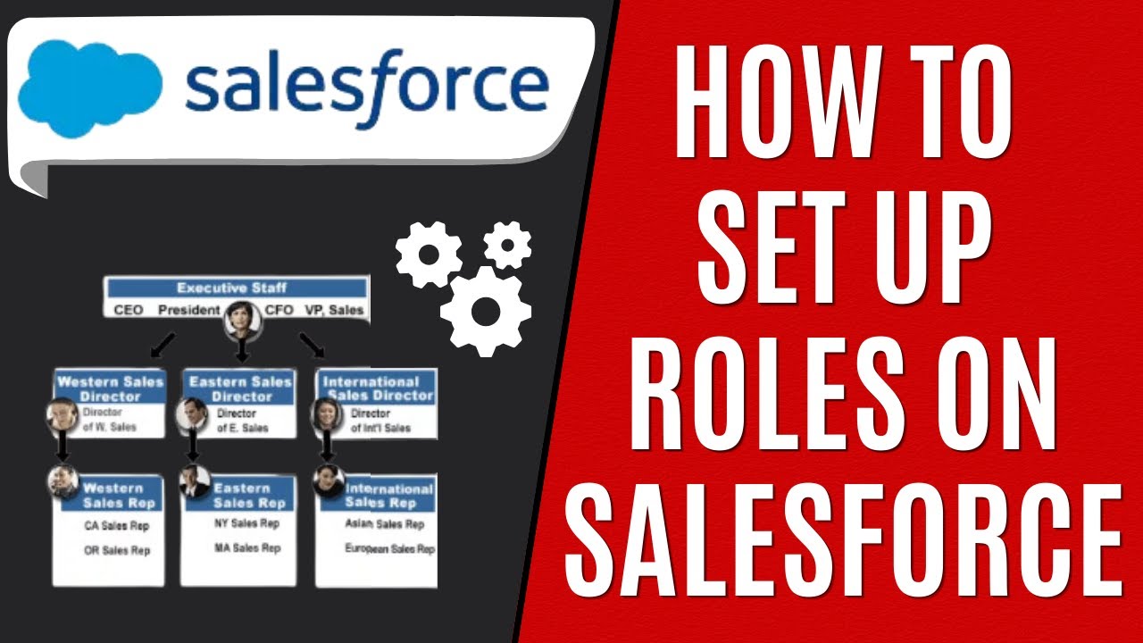 How to Set Up Roles on Salesforce [Quick Guide] - YouTube
