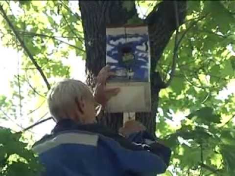 Открытие аллеи Volkswagen в Липецке.wmv Открытие аллеи Volkswagen в Липецке.wmv