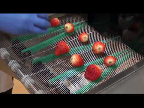 Ultraviolet Light Tunnel System | Campden BRI