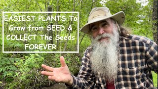 The EASIEST VEGETABLES to Grow from SEED & HARVEST Seed From   START YOUR PERMACULTURE FOOD FOREST!