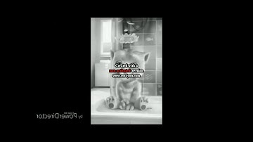 Preview 2m Talking Ginger Effects in Black And White Invert Grayscale Reversed