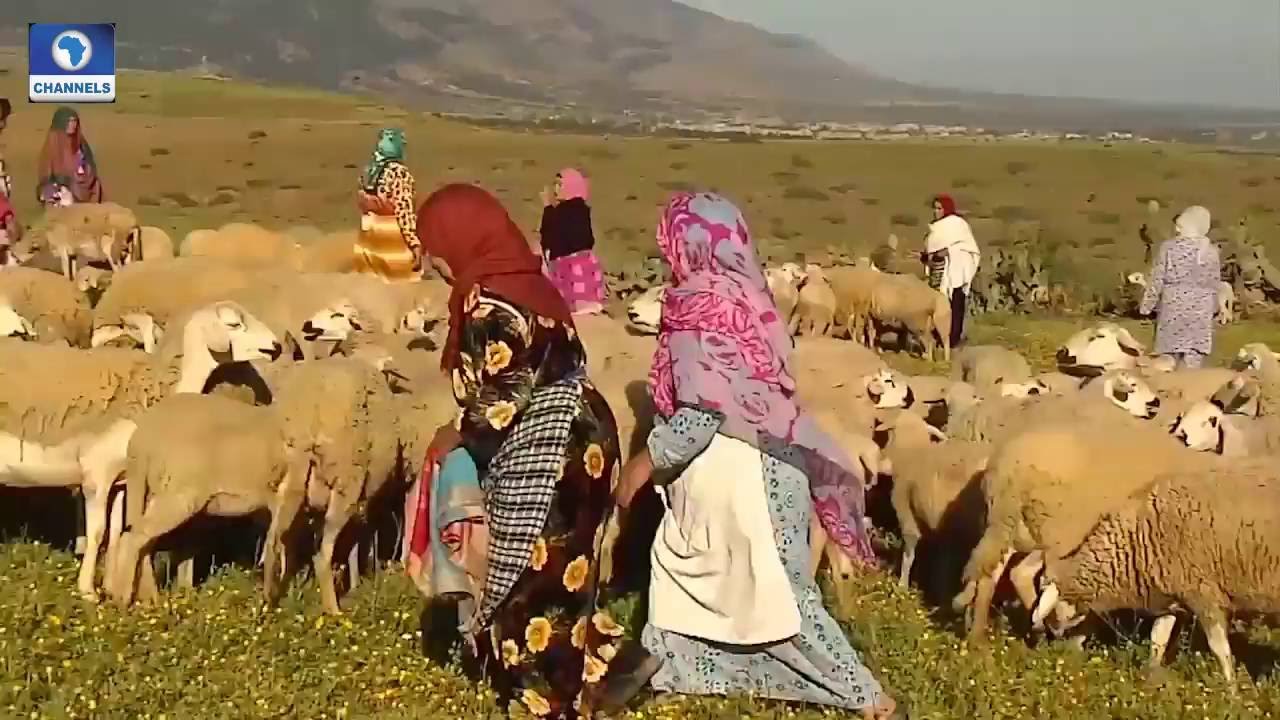 21st Century: Moroccan Women Breaking Out Of Traditional Roles