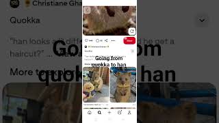 going from quokka to han