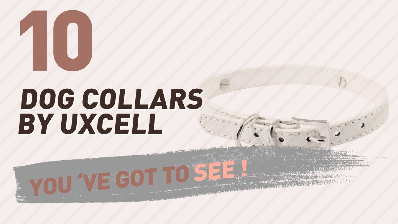 cats inn Dog Collars By Uxcell // Top 10 Most Popular