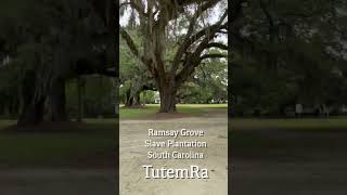 Ramsay Grove Slave Plantation in South Carolina