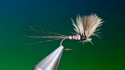 Fly tying a CDC Mayfly Dun with Barry Ord Clarke