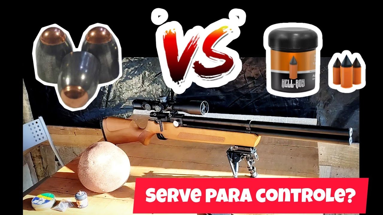 Chumbos para caça: Quem leva, Avelar ou FF?