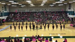 2016 Senior/Pink Out Pep Rally - "Fergalicious"