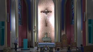 Fourteenth Monday in Ordinary Time Noon Mass