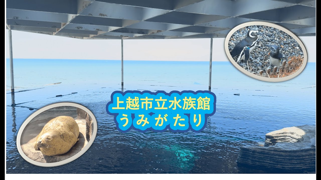 ー海と水族館がつながる場所ー上越市立水族館うみがたり