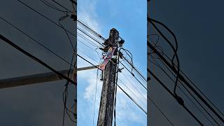 แย่แล้ว..ว่าวลอยติดสายไฟ!! #kite #comedy #shortvideo #โบ๊ะบ๊ะshorts