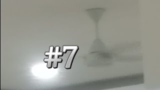 My ceiling fan sightings 7