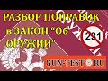 Разбор поправок в закон «Об оружии»