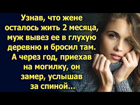 Видео: Глухая инвалидная собака с диагнозом рак становится почетным офицером K9