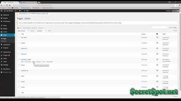 Top 4 Plugins for Wordpress - SecretSpot.net