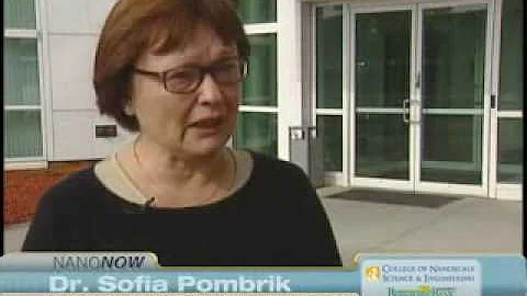 Inside CNSE: CNSE Professor of Nanoscience Ernest ...
