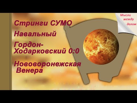 Стринги Сумо, ошибка олигарха, Навальный, Гордон - Ходорковский, Нововоронежская Венера, Чубайс