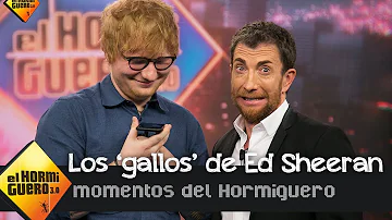 ¿Cómo llama Ed Sheeran a sus fans?