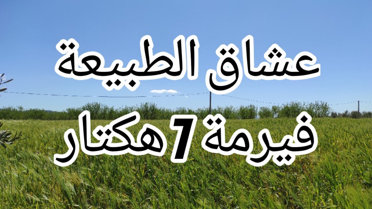 ✨نواحي مكناس✨فيرمة 7 هكتار 🏞️ مجهزة لعشاق الطبيعة ، أشجار الزيتون و اللوز جودة عالية وبأسعار تنافسية