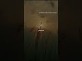 Murshad Shayari ❤️ Murshad Status❤️|| Whatsapp Status-Shorts #ghostskullcreation #murshadfullshayari