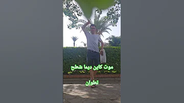 موت كاين ديما شطح المغرب الجزائر طنجة المضيق Maroc Sports Summer Song Shorts 