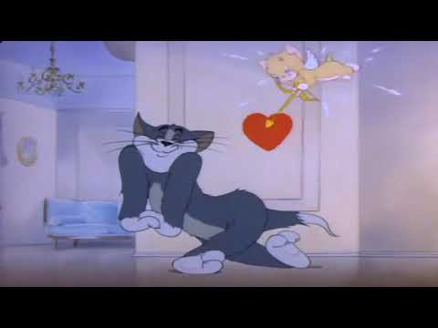 Том и джерри доигравшийся котик