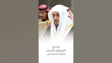 سورة التين | الشيخ #الوليد_الشمسان
